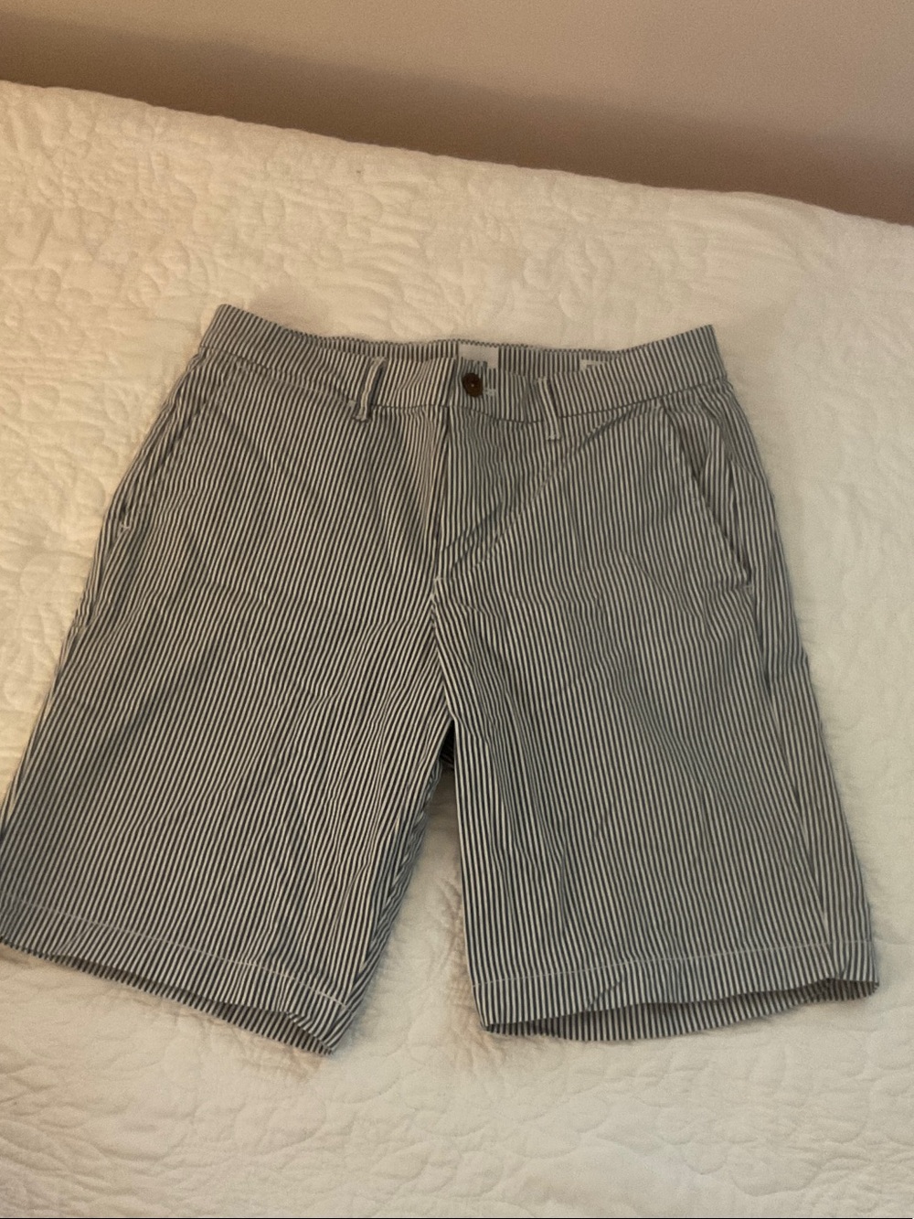 GAP Navy and White Striped Flat Front Shorts